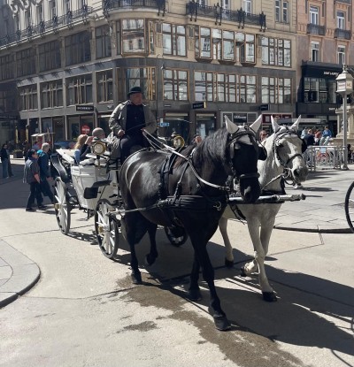 WhatsApp Image 2026-04-18 at 08.11.47 (2).jpeg